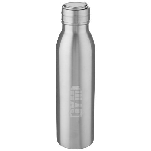 Harper 700 ml stainless steel water bottle with metal loop - 100678