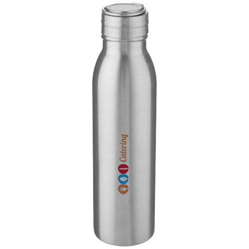 Harper 700 ml stainless steel water bottle with metal loop - 100678