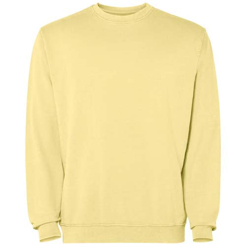 Jaya unisex crewneck sweater - R2203